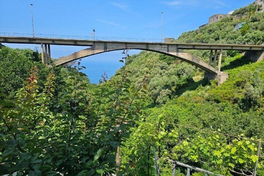 Sorrento Peninsula E-Bike Tour and Typical Product Tasting