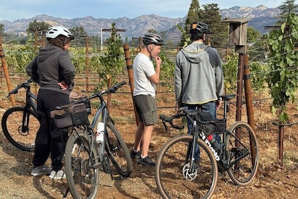 Ride with a Winemaker in Napa Valley