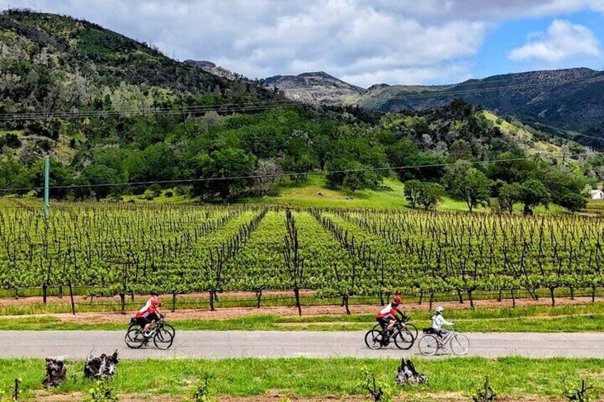 Riding along the vines and Mayacamas mountains