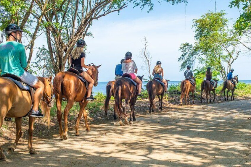 Mountain-to-Sea Horseback Ride 'N' Swim