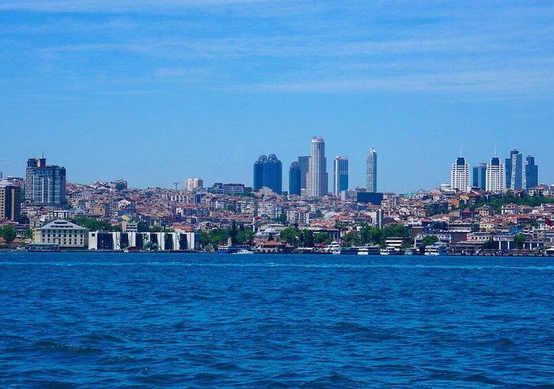 Picture 19 for Activity Istanbul: Bosphorus Sightseeing Cruise with Sunset Option