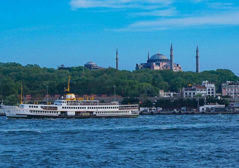 Picture 6 for Activity Istanbul: Bosphorus Sightseeing Cruise with Sunset Option