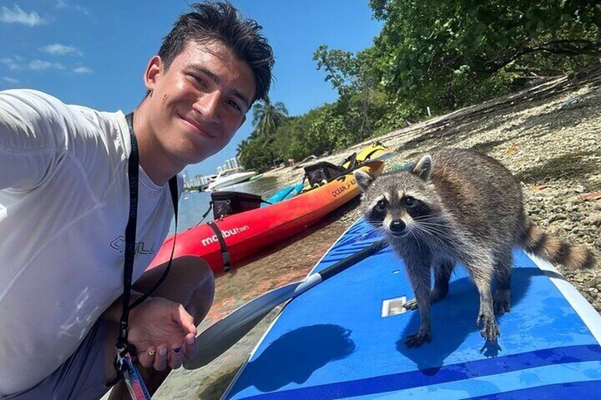 Kayak SUP Raccoon Island and Wildlife Exploration