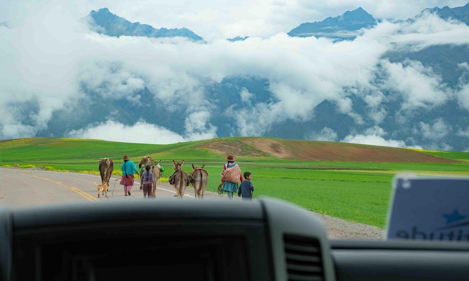 Picture 12 for Activity From Cusco: Sacred Valley & Maras Salt Mines Tour with Lunch