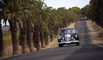 Barossa Valley Full Day Private Wine Tour in a 1962 Daimler