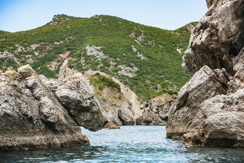 Picture 7 for Activity Lisbon: Arrábida Natural Park Dolphin Watching Boat Tour