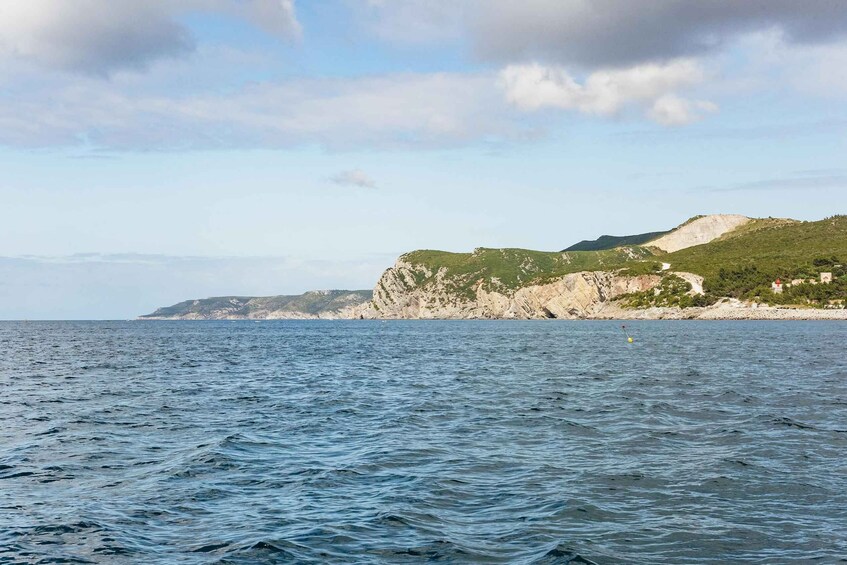 Picture 9 for Activity Lisbon: Arrábida Natural Park Dolphin Watching Boat Tour