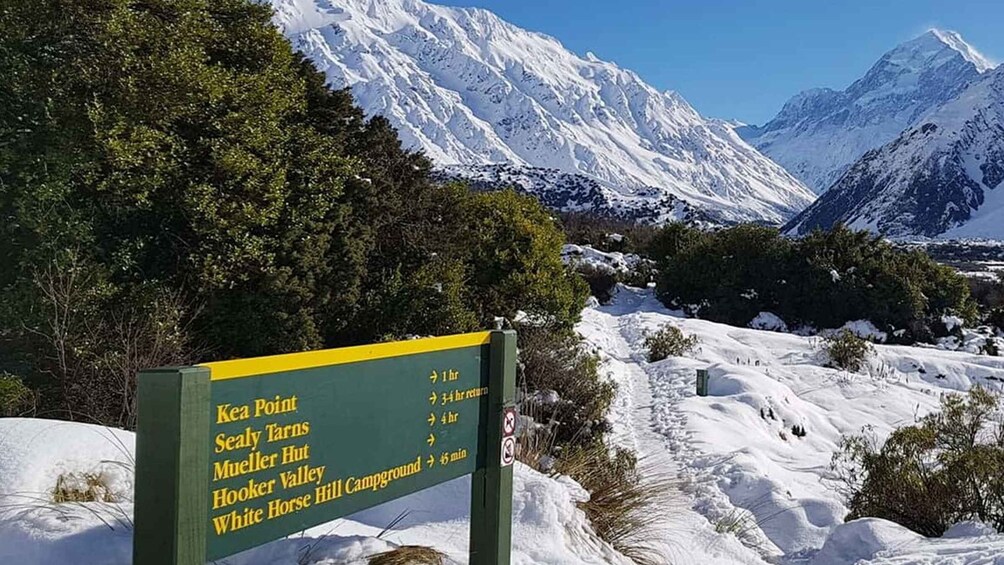 Picture 3 for Activity From Queenstown: Mount Cook Heli-Hike and Bus Tour Combo