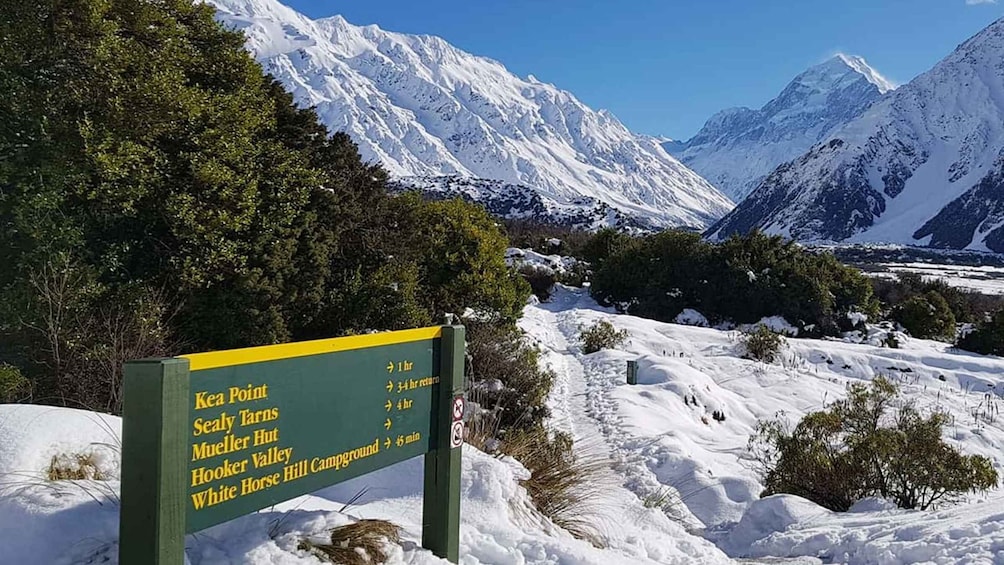 Picture 3 for Activity From Queenstown: Mount Cook Heli-Hike and Bus Tour Combo