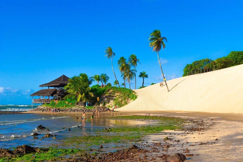 Picture 5 for Activity From Natal: Genipabu Dunes Buggy Adventure