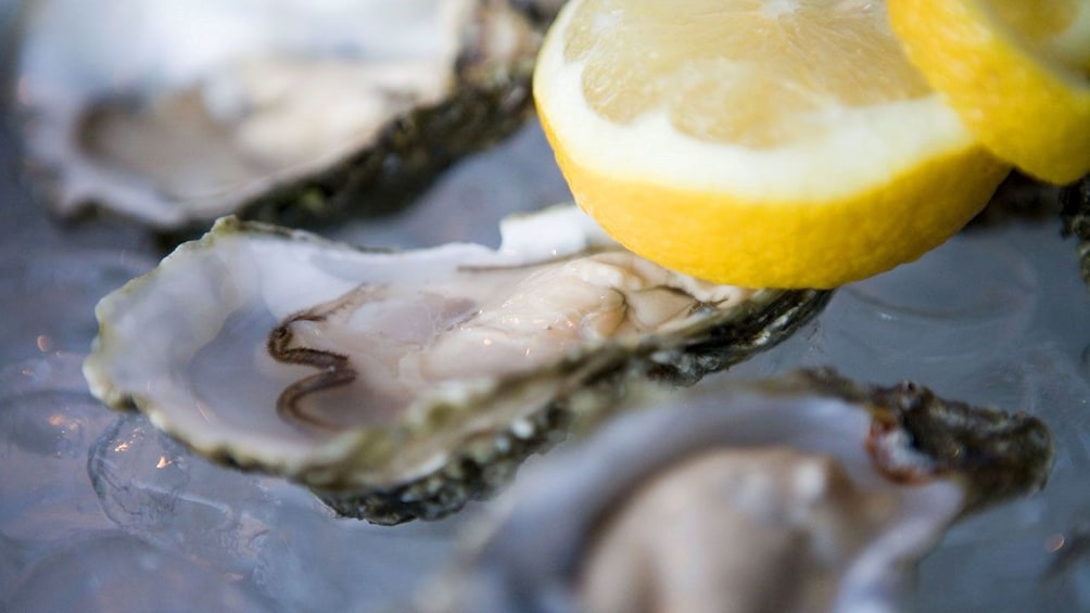 Show item 5 of 5. Close up of oysters during food tour in Galway