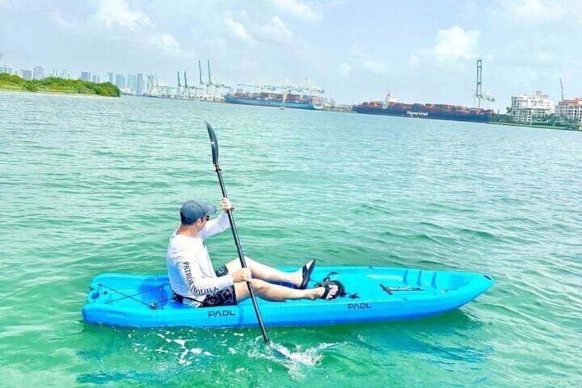 Miami Kayak and Paddleboard Rentals in Virginia Key