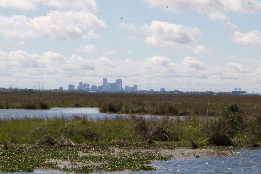 Distant view of New Orleans and a beautiful bayou teaming with wild life. Limited availability on Viator, More availability on our website New Orleans Tiki Boats