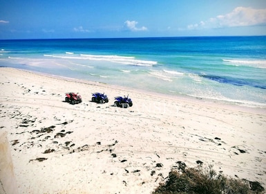 Djerba Island: Quad Biking Excursion