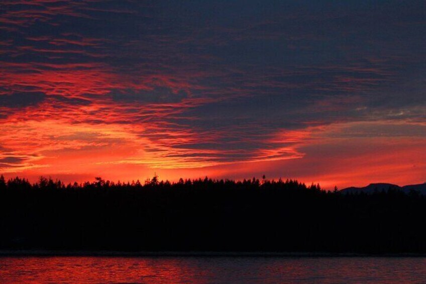 2 Hour Coastal Sunset Tour By Boat