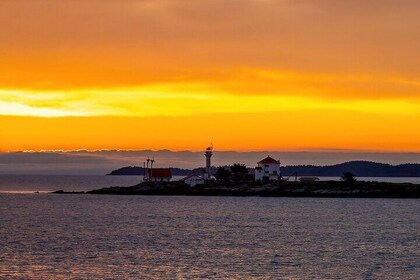 2 Hour Coastal Sunset Tour By Boat