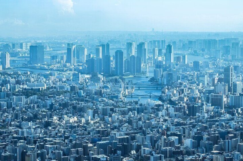 Full Day Tokyo Private Tour by Luxury Vehicle