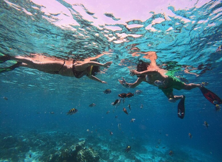 Picture 7 for Activity From Lombok: Gili Islands Snorkeling Day Trip