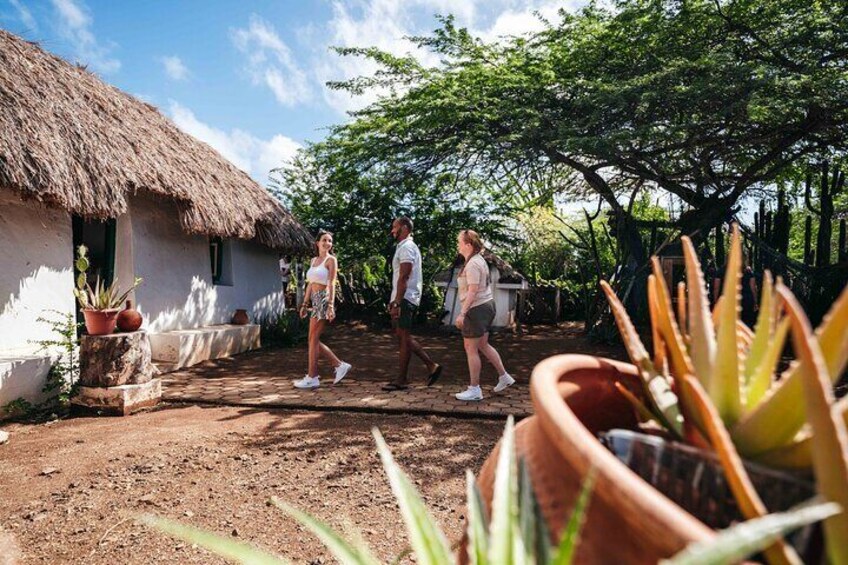 Curaçao Kunuku & Playa Kalki Beach Tour