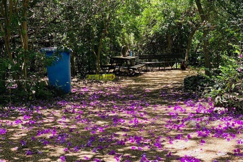 Curaçao History, Kunuku and Beach Tour