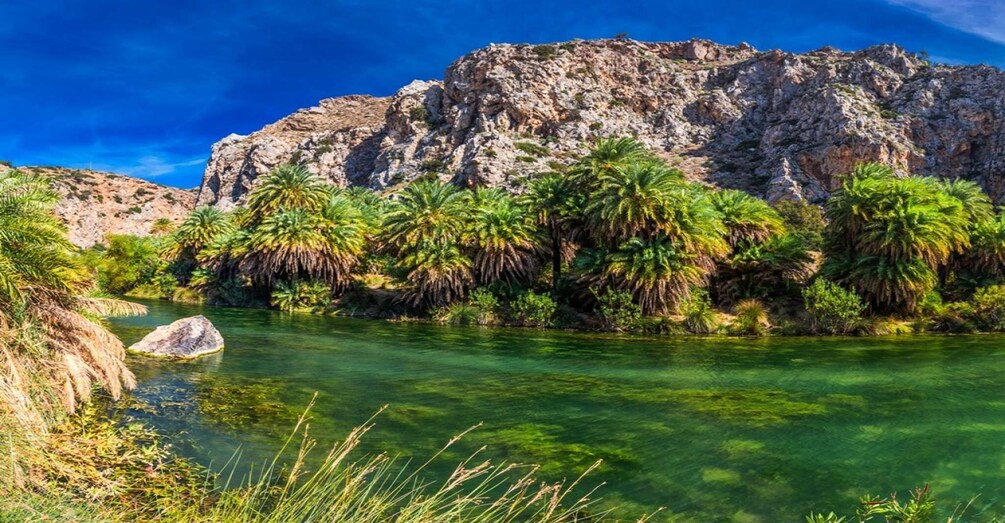 Picture 1 for Activity From Rethymno/Chania: Day Trip to Preveli Palm Beach