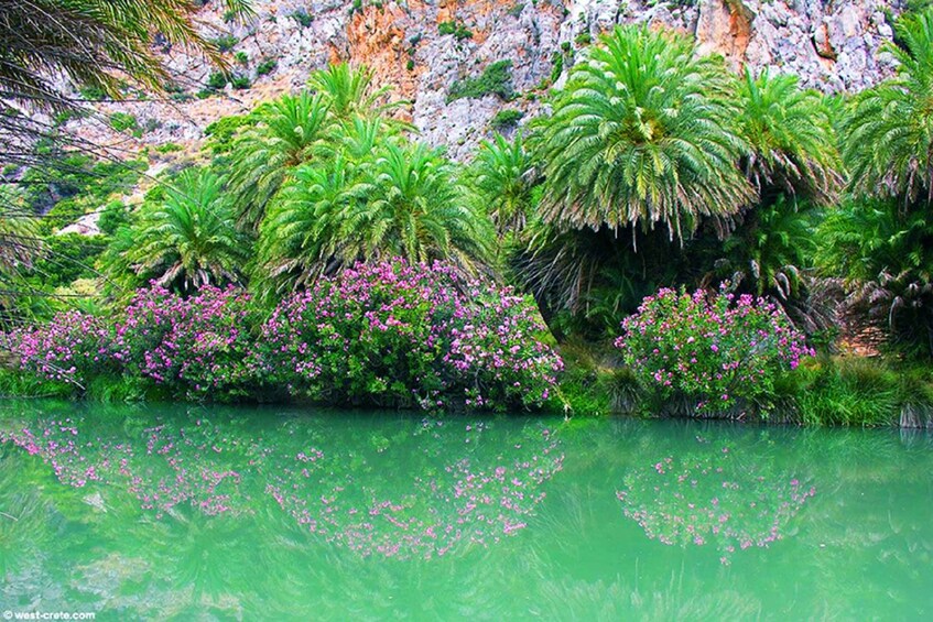 Picture 4 for Activity From Rethymno/Chania: Day Trip to Preveli Palm Beach