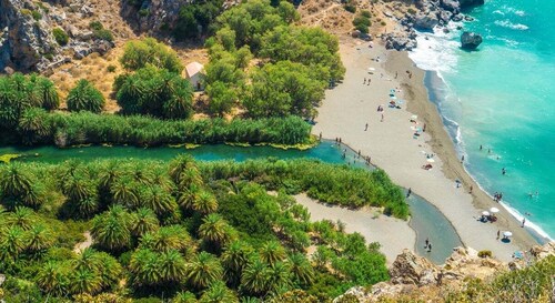 Vanuit Rethymno/Chania: Dagtocht naar Preveli Palm Beach