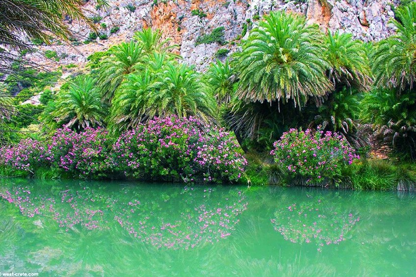 Picture 4 for Activity From Rethymno/Chania: Day Trip to Preveli Palm Beach