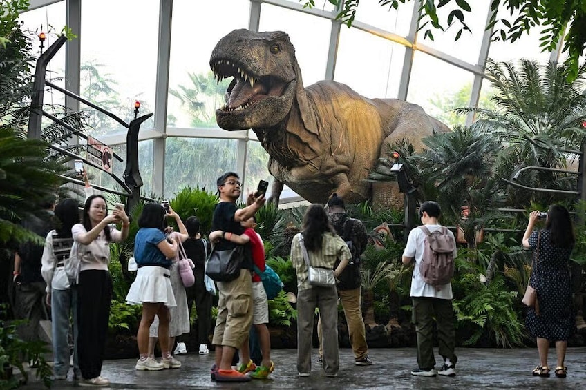 Gardens by the Bay – Step Into Serenity with Comfortable Shared Transfers