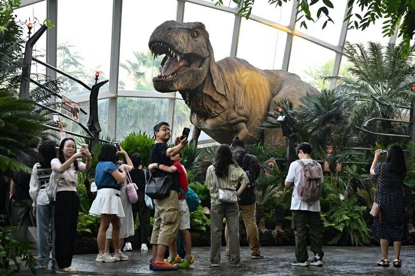 Gardens by the Bay – Step Into Serenity with Comfortable Shared Transfers