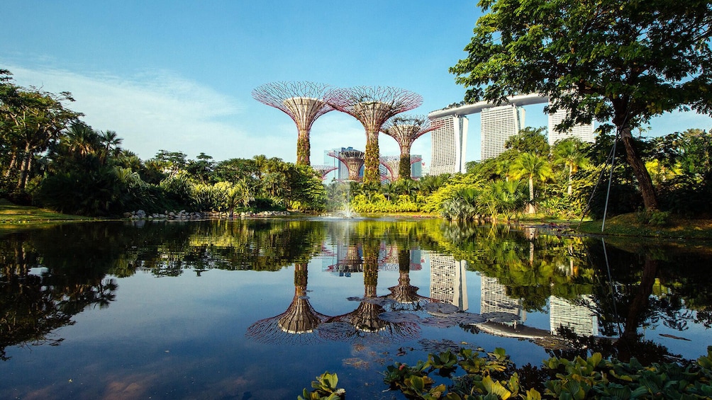 Gardens By The Bay Singapore 