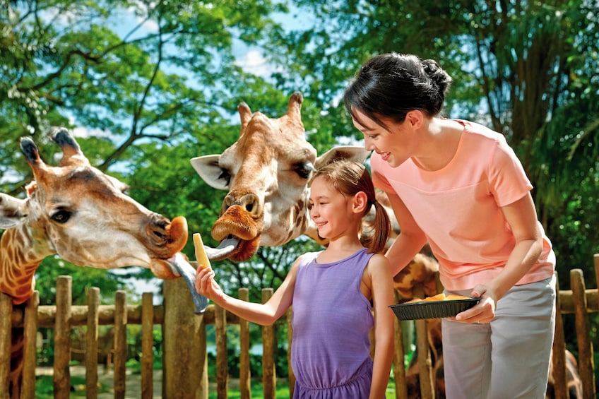 Singapore Zoo with Tram Ride