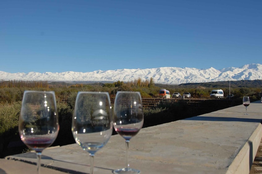 Picture 10 for Activity Mendoza: Full Day Wine Tour with 3 Course Lunch