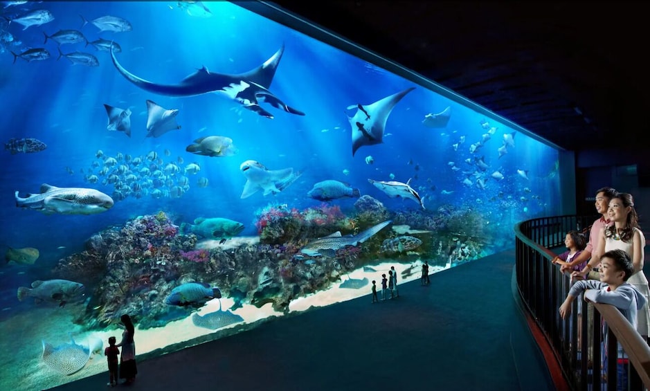 SEA Aquarium Singapore 