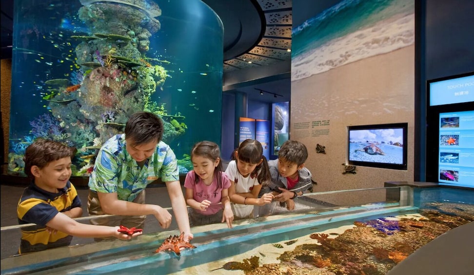 SEA Aquarium Singapore 