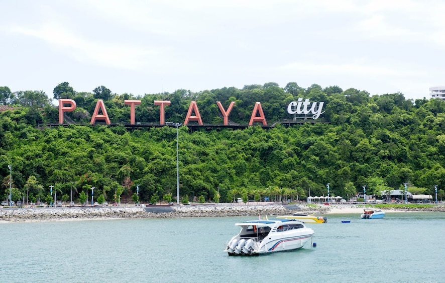 City Sightseeing Pattaya - GoGo Bus
