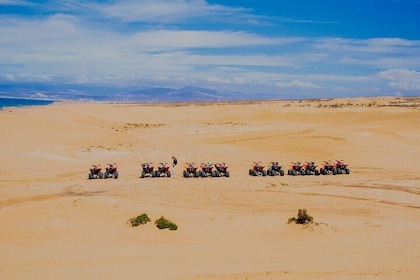 Halve dag Agadir Quad & Desert Sandboarding Avontuur
