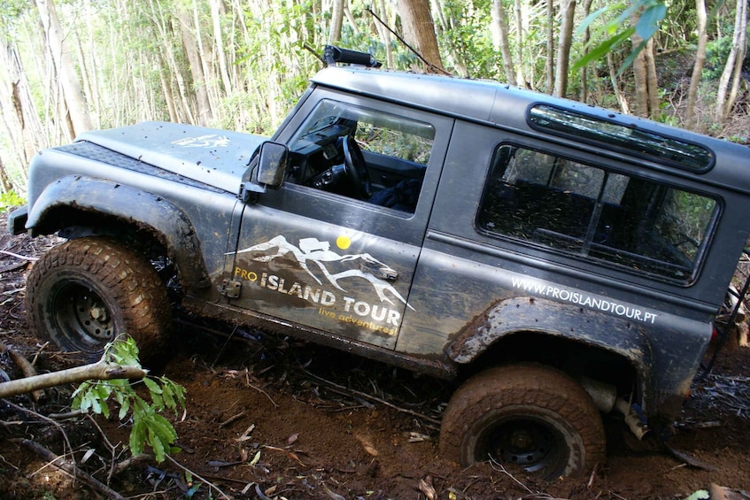 Picture 5 for Activity Terceira Island: Full-Day Mud Adventure & Traditional Lunch