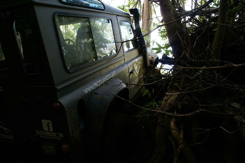 Picture 6 for Activity Terceira Island: Full-Day Mud Adventure & Traditional Lunch