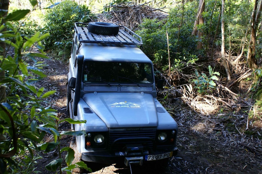 Picture 10 for Activity Terceira Island: Full-Day Mud Adventure & Traditional Lunch