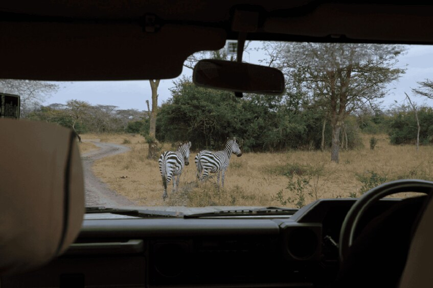 Picture 5 for Activity Lake Mburo National Park with Equator, Game Drive & Cruise