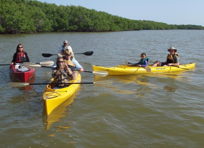 Picture 4 for Activity Everglades National Park: Boat Assisted Kayak Eco Tour
