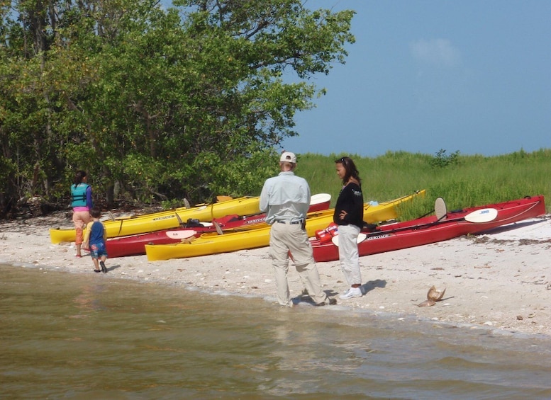 Picture 5 for Activity Everglades National Park: Boat Assisted Kayak Eco Tour