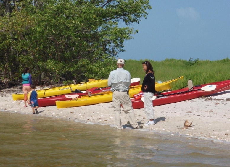 Picture 5 for Activity Everglades National Park: Boat Assisted Kayak Eco Tour
