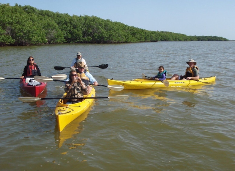 Picture 4 for Activity Everglades National Park: Boat Assisted Kayak Eco Tour