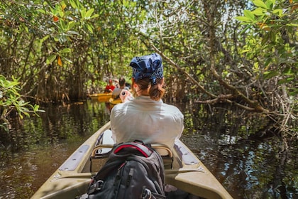 Everglades National Park: Mangroven-Tunnel Kajak Öko-Tour