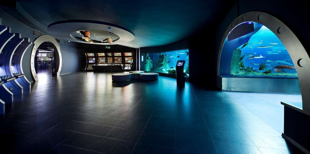 Picture 9 for Activity Istanbul Aquarium and Aqua Florya Shopping Mall Tour