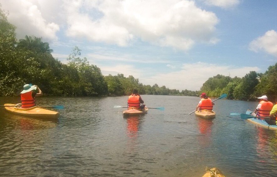 Picture 4 for Activity Phu Quoc: Kayaking with Starfish Beach and Bee Farm Tour