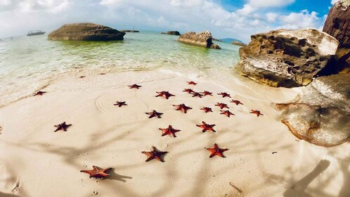 Phu Quoc: recorrido en kayak con playa de estrellas de mar y granja de abej...