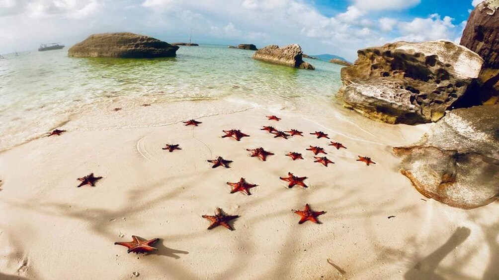 Phu Quoc: Kayaking with Starfish Beach and Bee Farm Tour